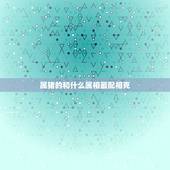 属猪的和什么属相最配相克，属猪和什么生肖相冲