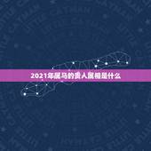 2021年属马的贵人属相是什么，2021年属马犯太岁佩戴什么