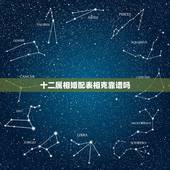 十二属相婚配表相克靠谱吗，属相相克可不可信