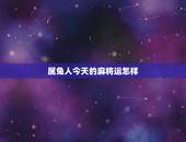 属兔人今天的麻将运怎样，我今年属兔打麻将为啥老输