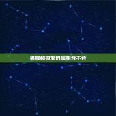 男猴和狗女的属相合不合，属猴男和属狗女的婚配