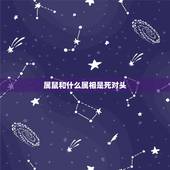 属鼠和什么属相是死对头，属鼠人和什么属相不合