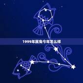 1999年属兔今年怎么样，属兔的人今年运程如何