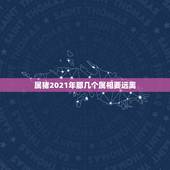 属猪2021年那几个属相要远离，2021年犯太岁的5个生肖，需要注意什
