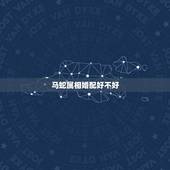 马蛇属相婚配好不好，马和蛇属相相配吗