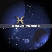 属鸡男人跟什么属相最合适，属鸡的男性和什么属相的女性最配