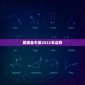 属猪金牛座2022年运势，属猪金牛座今年的运气