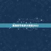 属兔的今年多大年龄2022，属虎今年多少岁