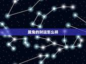 属兔的财运怎么样，属兔怎么提升财运