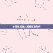 羊男和属猪女属相婚配怎样，79属羊男和83年属猪女结婚好不好