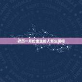 农历一月份出生的人怎么属相，1月份出生的孩子属相按阳历还是按阴历