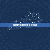 属虎的佩戴什么天珠合适，属虎的佩戴什么吉祥物