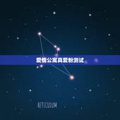 爱情公寓真爱粉测试，谁知道爱情公寓里面，展博说的那个测试题的答案