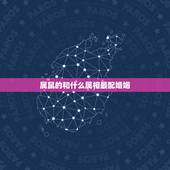 属鼠的和什么属相最配婚姻，属鼠的和什么属相最配