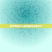 属鸡的和什么属相最适合做母子，属鸡的和什么属相最配