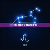 2022年双子的运势爱情，属蛇双子女2022年运势