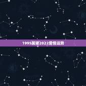 1995属猪2022爱情运势，95年生肖猪2021年运势