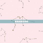 属兔和猴合财吗，属兔男与属猴女婚姻能长久吗