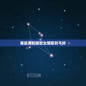 属鼠男和属蛇女婚配好不好，属鼠的和属蛇的可以结为夫妻吗