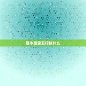 属牛宝宝五行缺什么，2022 年金牛五行缺什么