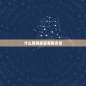 什么属相最容易受待见，最能受到众人关注，容易被别人崇拜的生肖有哪些？