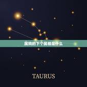 属狗的下个属相是什么，属狗的女生和什么属相最配