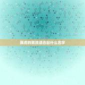 属虎的男孩适合起什么名字，2022年男孩虎宝宝名字