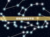 蛇和虎属相合不合，虎和蛇属相合吗