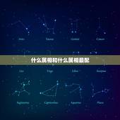 什么属相和什么属相最配，属龙的和什么属相最配？