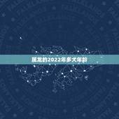 属龙的2022年多大年龄，属兔的今年多大