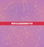 男狗与女鼠配婚姻好不好，男狗女鼠相合吗？