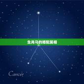 生肖马的婚配属相，属马的和什么属相最配 属马的属相婚配表？