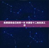 免费算命自己的另一半 夫妻宫十二地支测工作