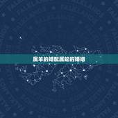属羊的婚配属蛇的婚姻，羊和蛇属相相配好吗
