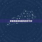家里有属龙和属鸡的好不好，属鸡人为什么喜欢属龙人