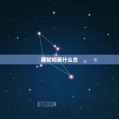 属蛇和属什么合，属蛇的人五行属什么