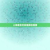 上海老年交友相亲在哪里，老年人相亲会在哪里