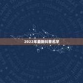 2022年最新抖音名字，2023最火的抖音网名