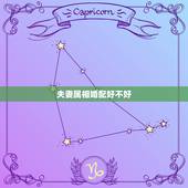 夫妻属相婚配好不好，属相婚配真的很重要吗？