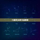 73属牛48岁大运男命，男73属牛后半生命运