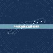 今年属猪属鼠的属相好吗，属鼠和属猪的相配吗