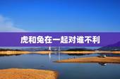 虎和兔在一起对谁不利，属虎男98和属兔女99