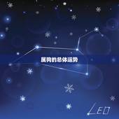 属狗的总体运势，属狗人未来三年运势