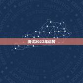 测试2022年运势，请命理大师测一人命理运势，再谢了！