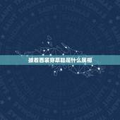 披着西装穿草鞋是什么属相，十二生肖那种动物穿草鞋
