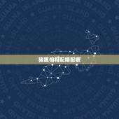 猪属相相配婚配表，属猪女，和属马男婚姻配吗