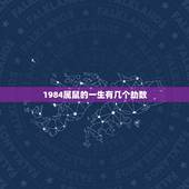 1984属鼠的一生有几个劫数，1984年生人属鼠是什么命