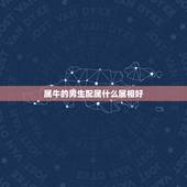 属牛的男生配属什么属相好，属牛的男人与什么生肖最好？