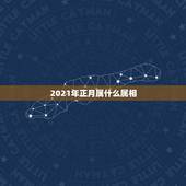 2021年正月属什么属相，2021年正月初二属什么生肖