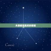 夫妻都是属虎的婚姻，98两个属虎的能结婚吗